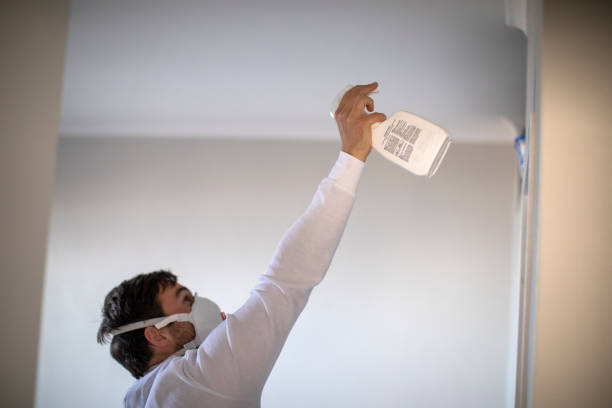 Best Residential Mold Remediation in Peculiar, MO