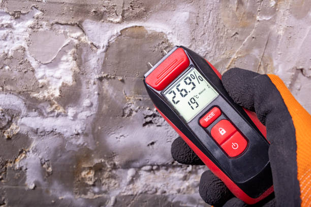 Best Insurance-Related Mold Remediation in Peculiar, MO