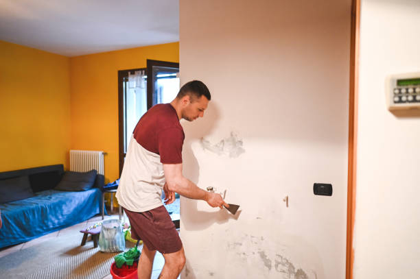 Best Insurance-Related Mold Remediation in Peculiar, MO
